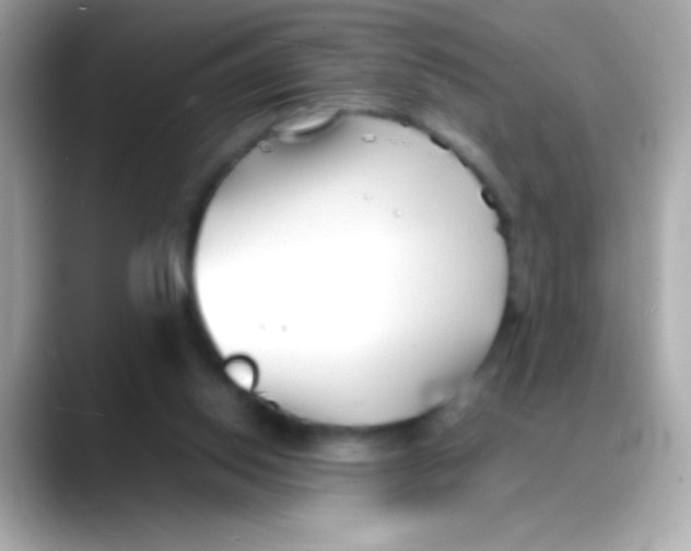 X0000088130062200706041957