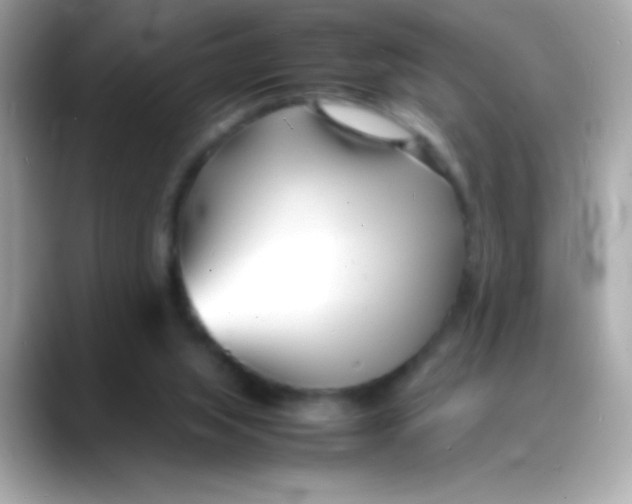 X0000088130063200706041957