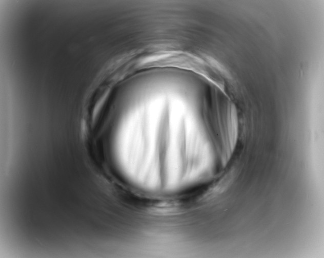 X0000088130064200706041957