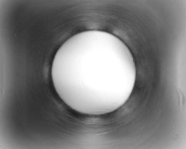 X0000088130066200706041957