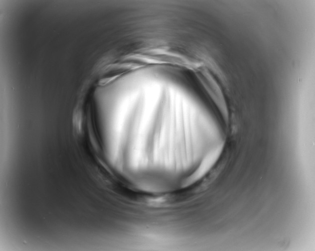 X0000088130068200706041957