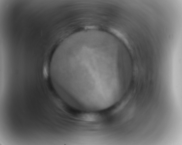 X0000088130069200706041957