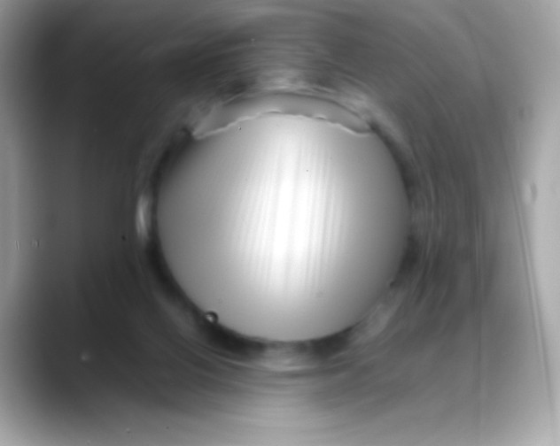 X0000088130070200706041957