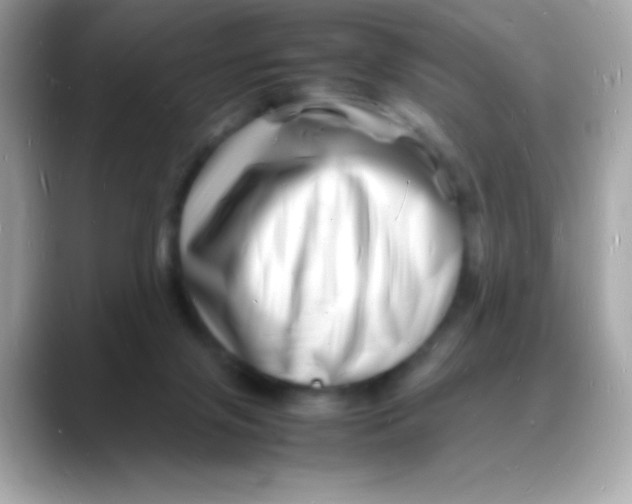 X0000088130071200706041957