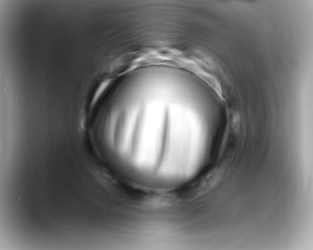 X0000088130072200706041957