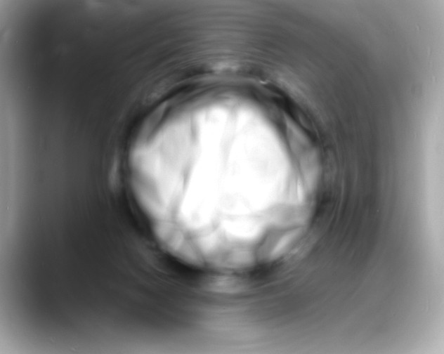 X0000088130074200706041957