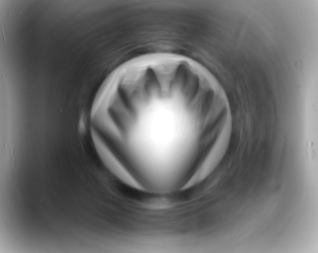 X0000088130075200706041957