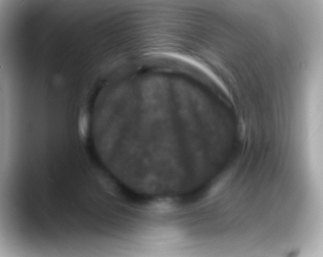 X0000088130076200706041957