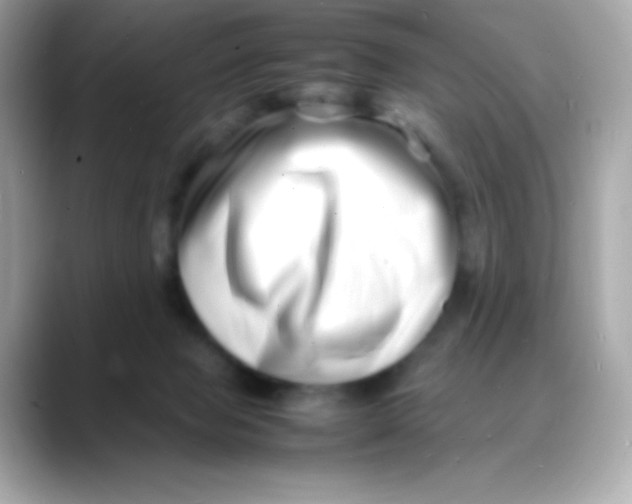 X0000088130077200706041957