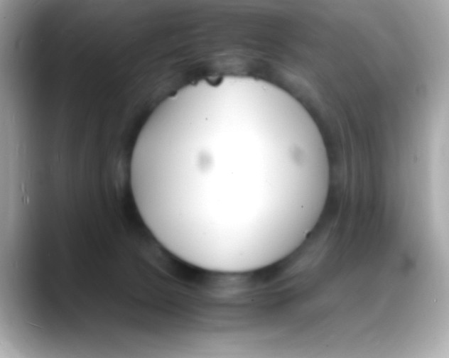 X0000088130081200706041957