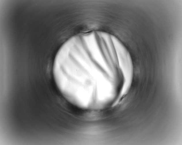 X0000088130082200706041957