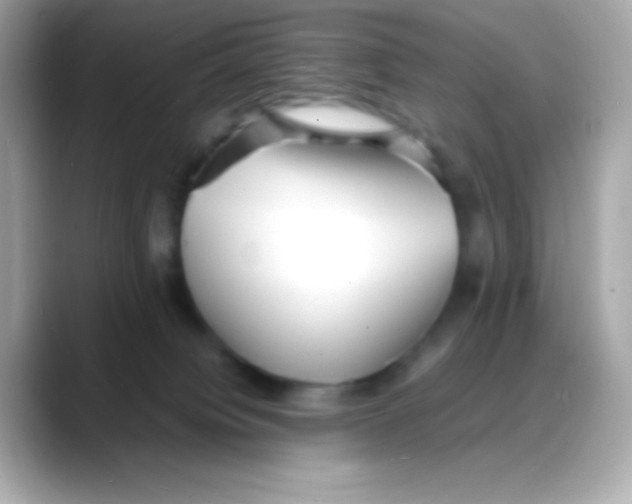 X0000088130084200706041957