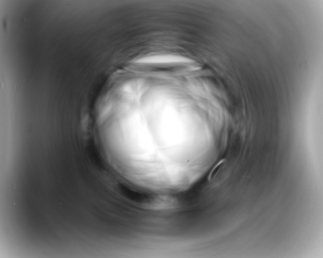 X0000088130087200706041957