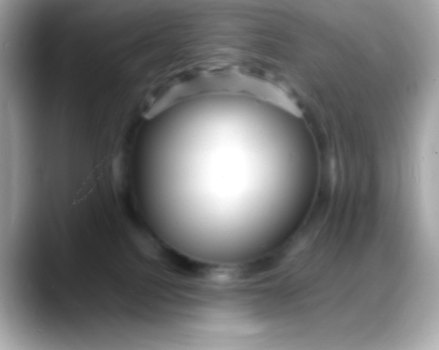 X0000088130088200706041957