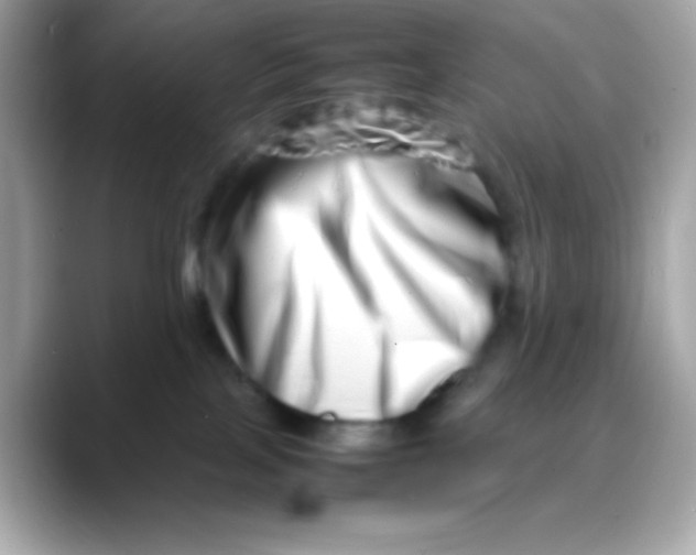 X0000088130089200706041957