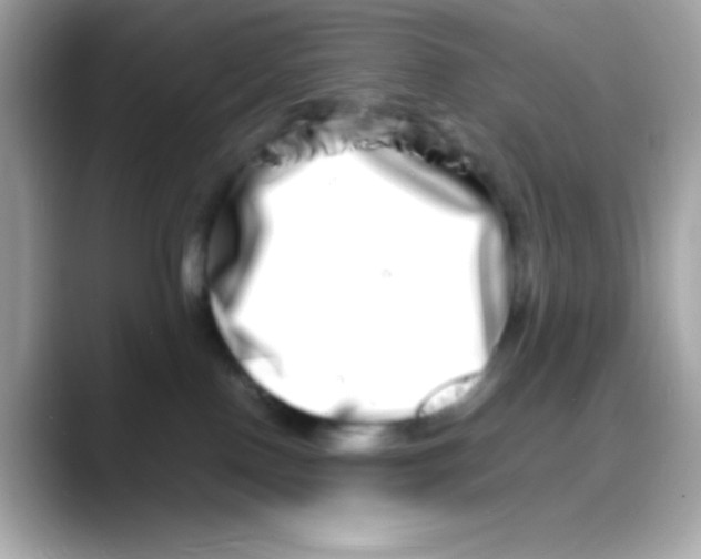 X0000088130090200706041957