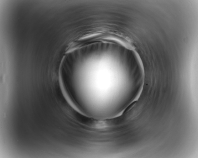 X0000088130091200706041957