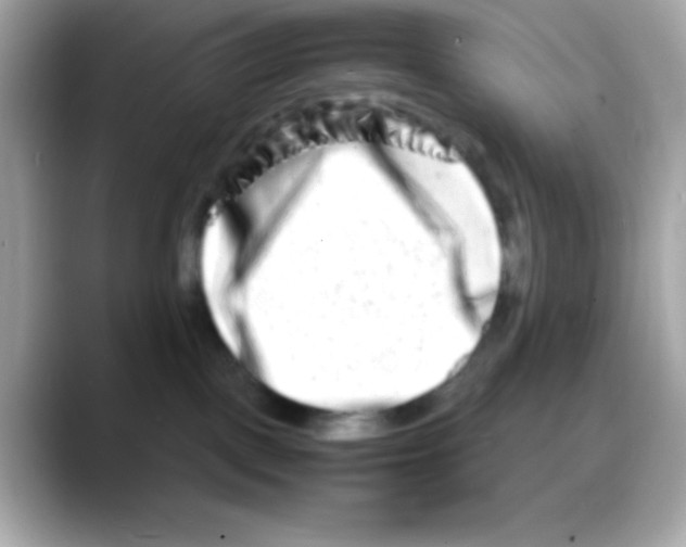 X0000088130093200706041957