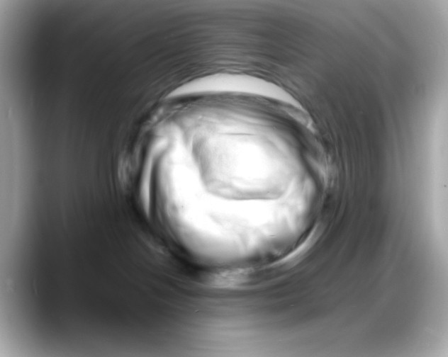 X0000088130094200706041957