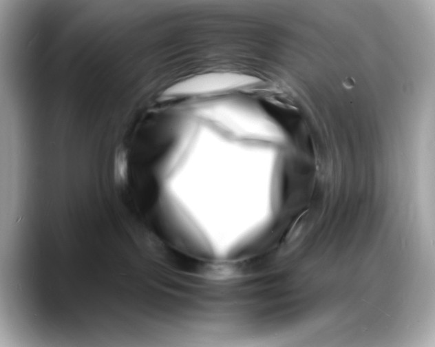 X0000088130095200706041957