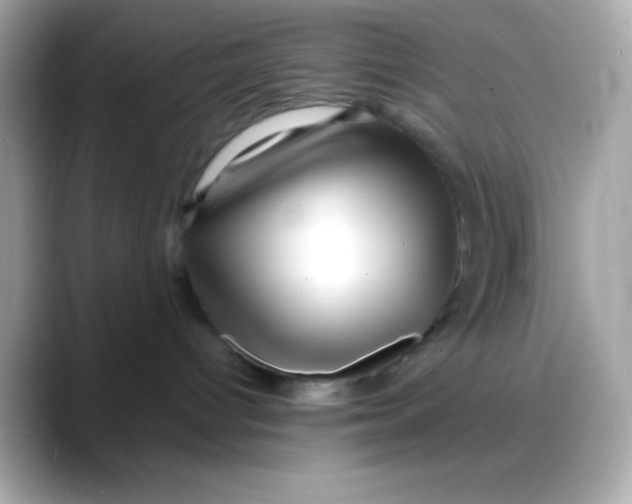 X0000088130096200706041957