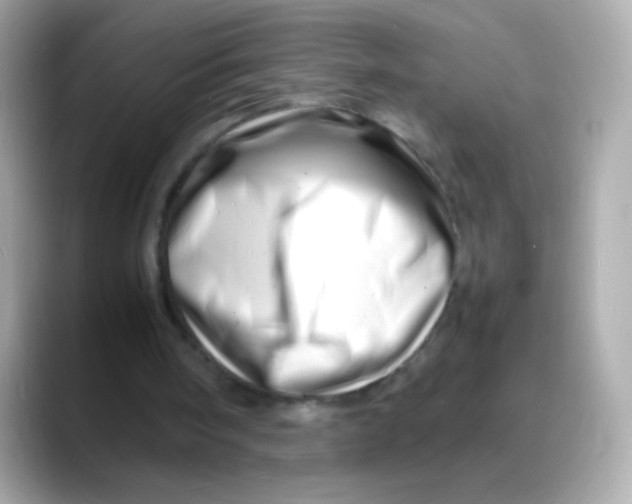 X0000088130098200706041957