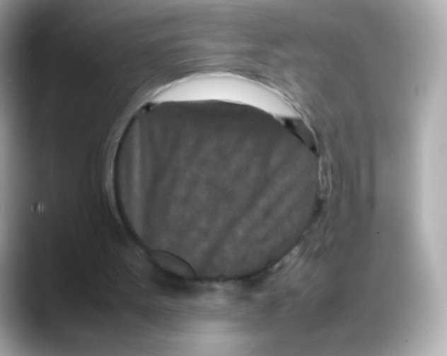 X0000088130099200706041957