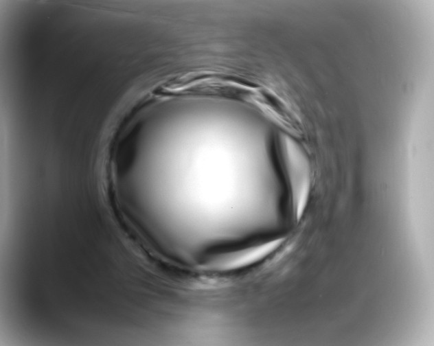 X0000088130101200706041957