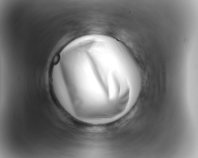 X0000088130102200706041957