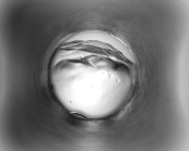 X0000088130103200706041957