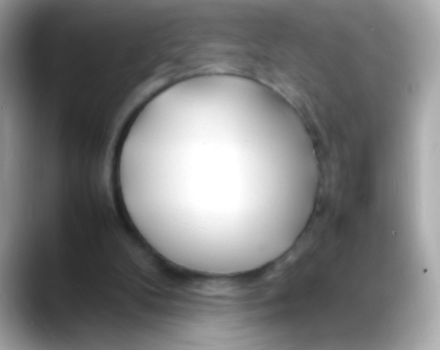 X0000088130104200706041957