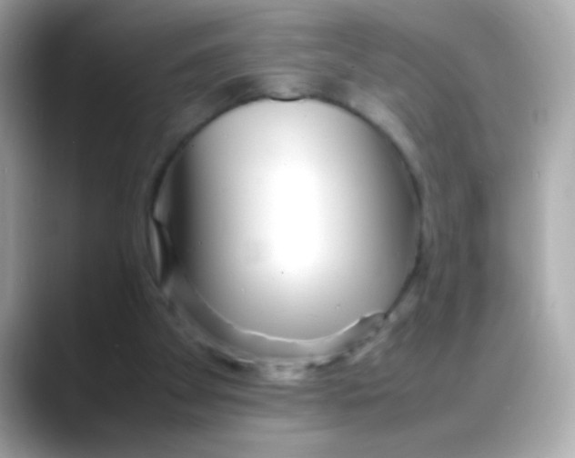 X0000088130105200706041957