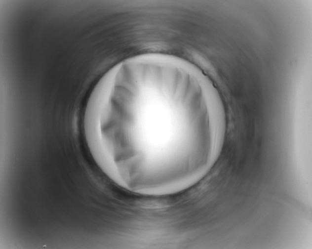 X0000088130106200706041956