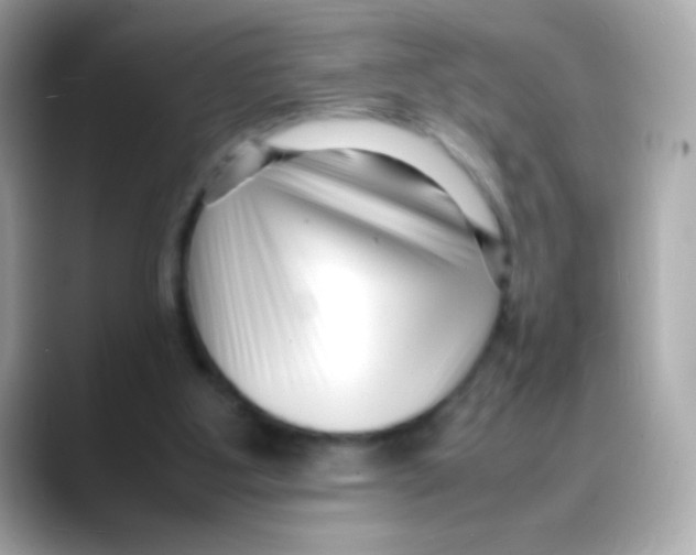 X0000088130107200706041956