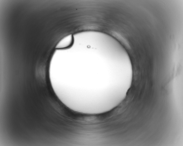 X0000088130108200706041956