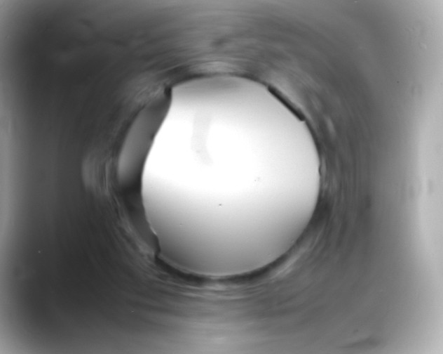 X0000088130109200706041956