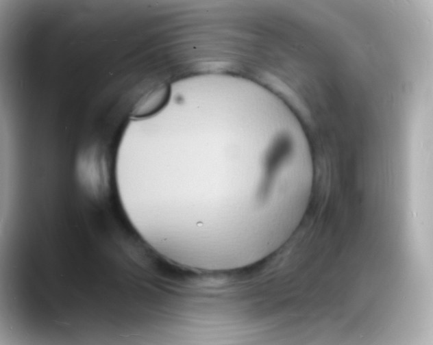 X0000088130110200706041956