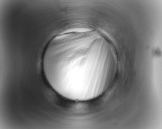 X0000088130111200706041956