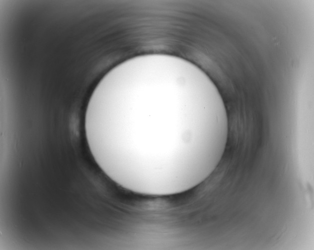 X0000088130112200706041956