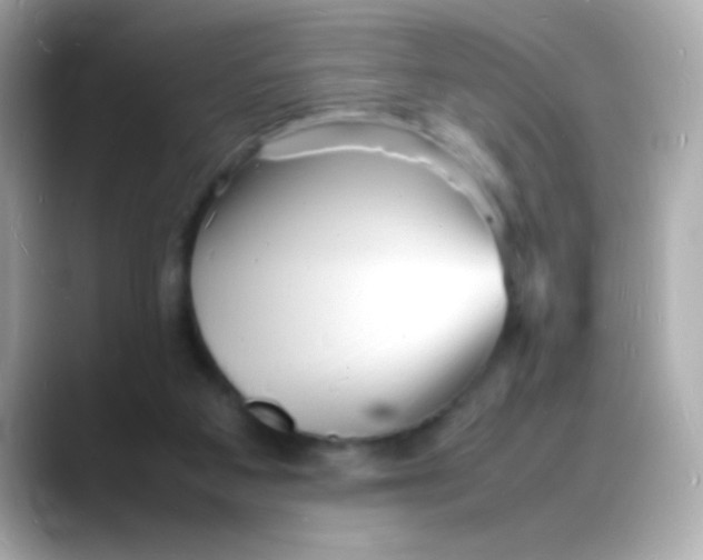 X0000088130113200706041956