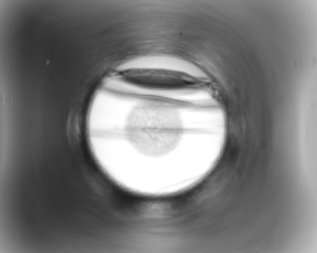 X0000088130115200706041956