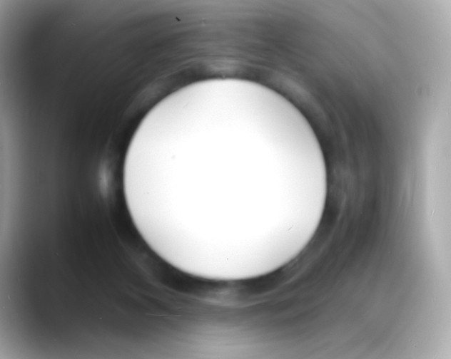 X0000088130116200706041956