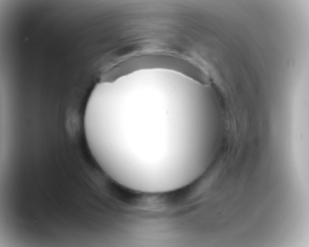 X0000088130117200706041956