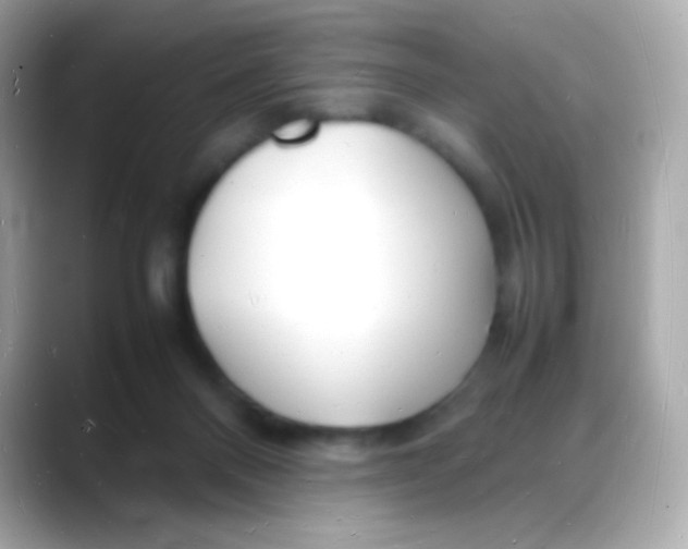 X0000088130120200706041956