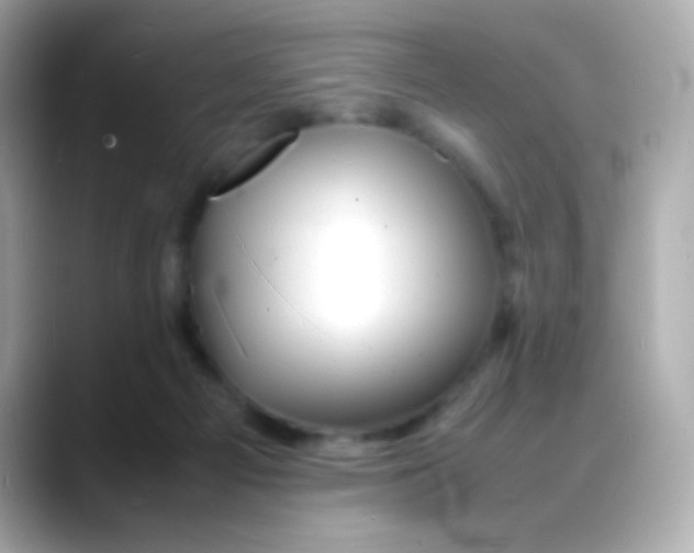 X0000088130121200706041956