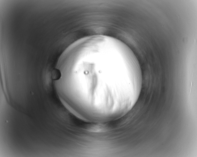 X0000088130122200706041956