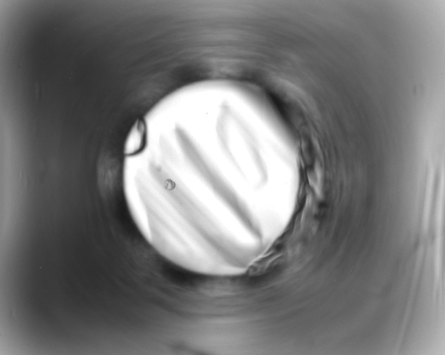 X0000088130123200706041956