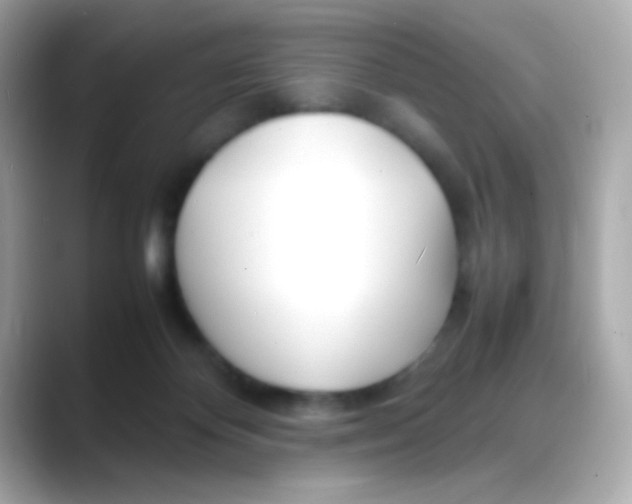 X0000088130124200706041956