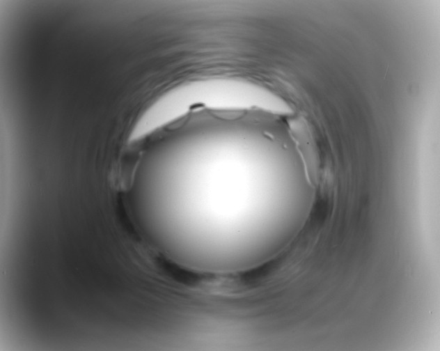 X0000088130125200706041956