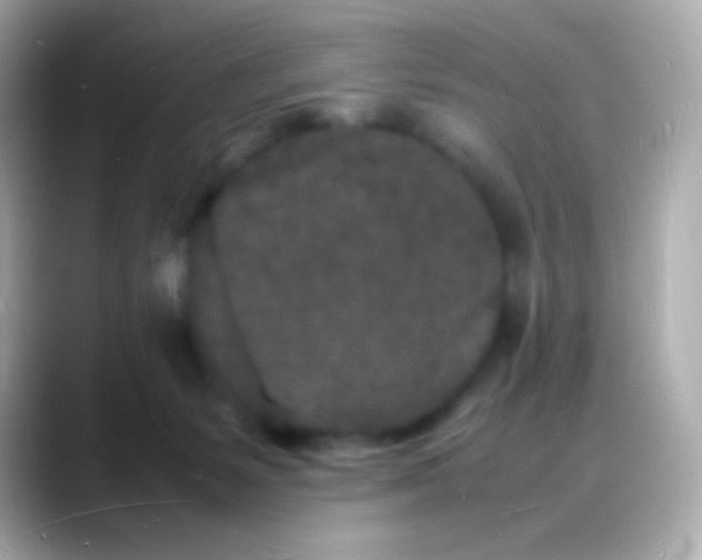 X0000088130127200706041956